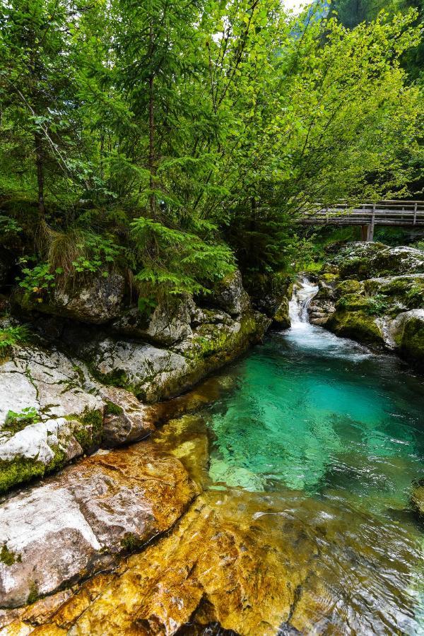 Soča Julian Village Lepena מראה חיצוני תמונה